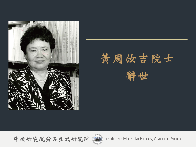 In Memory of
Ru-Chih C Huang