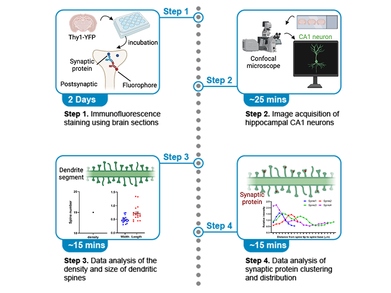 publication figure