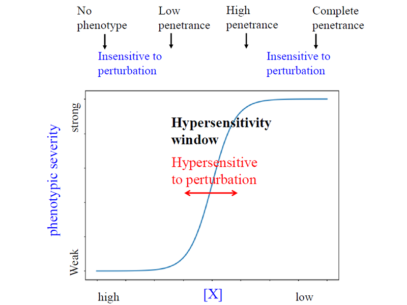 publication figure