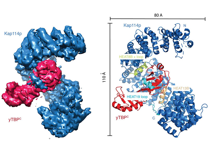 publication figure