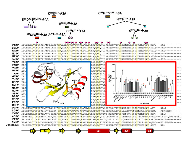 publication figure