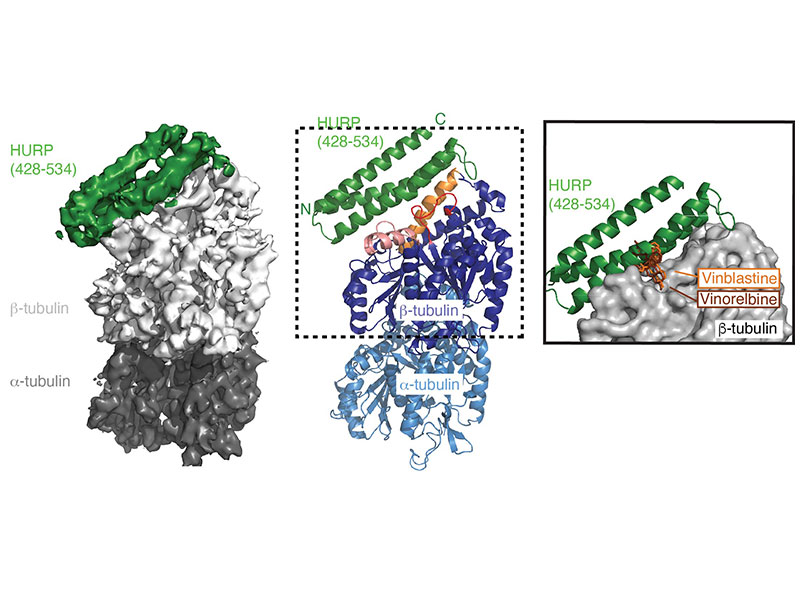 publication figure