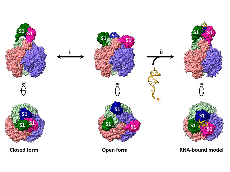 publication figure