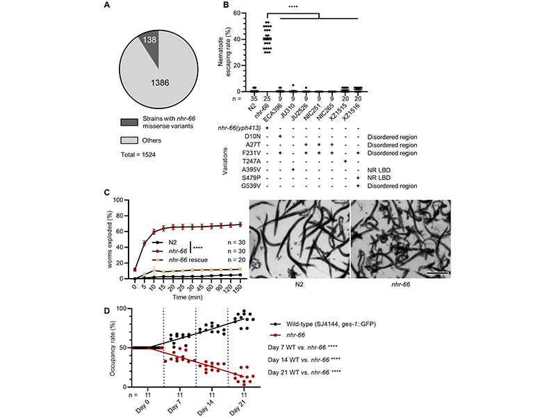 publication figure