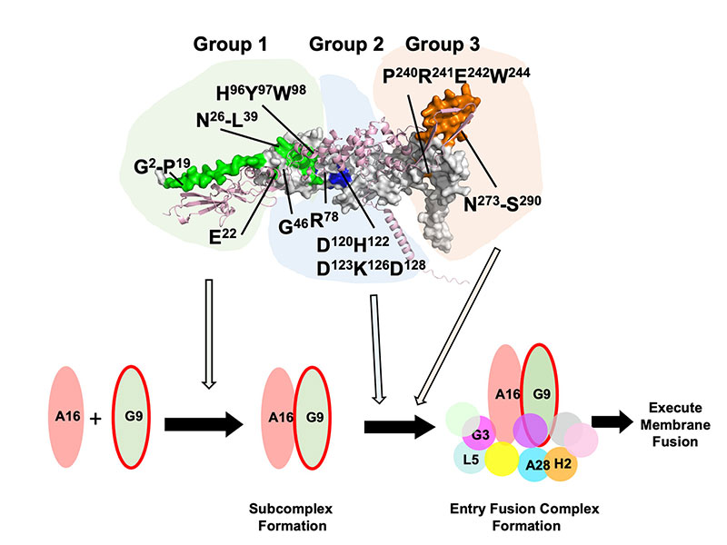 publication figure