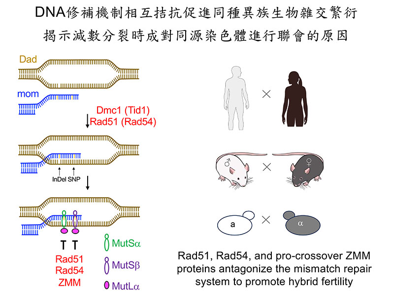 publication figure