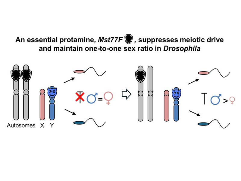 publication figure